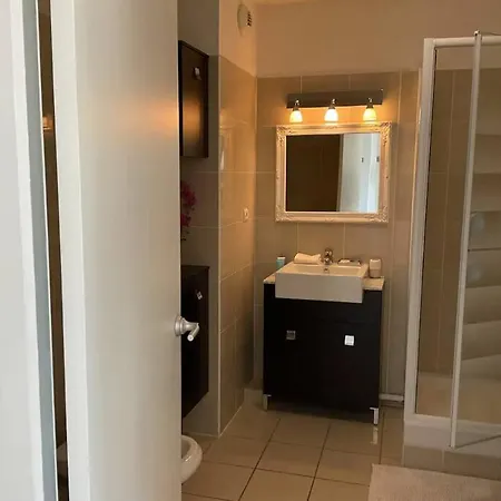Toit Terrasse Dans Avec Piscine Appartement